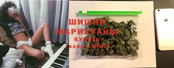 прущие грибы Липки