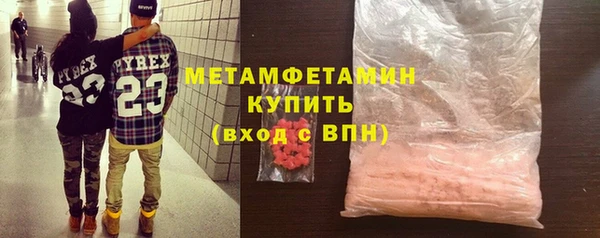 прущие грибы Липки
