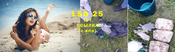 ГАЛЛЮЦИНОГЕННЫЕ ГРИБЫ Лиски